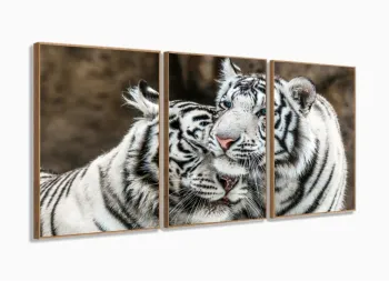 Quadro Decorativo Tigres Brancos 120x60 3 peças Sala Quarto com moldura filete