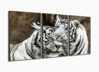 Quadro Decorativo Tigres Brancos 120x60 3 peças Sala Quarto com moldura filete - Foto 2