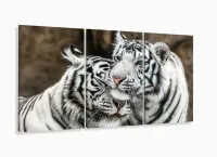 Quadro Decorativo Tigres Brancos 120x60 3 peças Sala Quarto com moldura filete - Foto 5