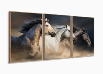 Quadros Decorativos Cavalos Country Sala 120x60 3 peças com moldura filete