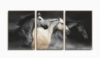 Quadros Decorativos Cavalos Fazenda  120x60 3 peças com moldura filete - Foto 6
