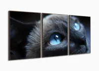 Quadros Decorativos Gato Olho Azul 120x60 3 peças com moldura filete - Foto 2