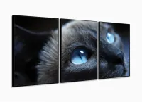 Quadros Decorativos Gato Olho Azul 120x60 3 peças com moldura filete - Foto 3