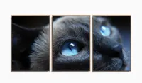 Quadros Decorativos Gato Olho Azul 120x60 3 peças com moldura filete - Foto 6