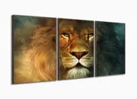Quadros Decorativos Leão de Judá Animal Sala Quarto 120x60 3 peças com moldura filete - Foto 2