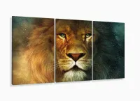 Quadros Decorativos Leão de Judá Animal Sala Quarto 120x60 3 peças com moldura filete - Foto 5