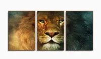 Quadros Decorativos Leão de Judá Animal Sala Quarto 120x60 3 peças com moldura filete - Foto 6