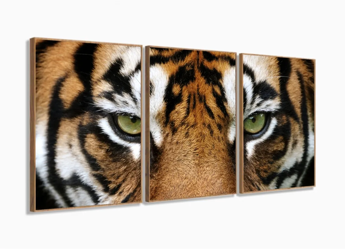 Loja Wall Frame - Quadros Decorativos para todos os Ambientes! - Quadros Decorativos Tigre Aguá E Fogo 120x60 3 peças em Tecido com moldura filete
