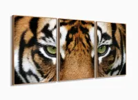 Quadros Decorativos Tigre 120x60 3 peças em Tecido com moldura filete