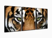 Quadros Decorativos Tigre 120x60 3 peças em Tecido com moldura filete - Foto 3