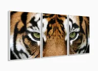 Quadros Decorativos Tigre 120x60 3 peças em Tecido com moldura filete - Foto 4