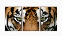 Quadros Decorativos Tigre 120x60 3 peças em Tecido com moldura filete - Foto 6
