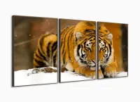 Quadros Decorativos Tigre Neve 120x60 3 peças mt em Tecido com moldura filete - Foto 2