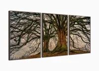 Conjunto Quadros 3 Peças Árvore Raiz decorativo Sala Quarto com moldura filete - Foto 2