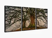 Conjunto Quadros 3 Peças Árvore Raiz decorativo Sala Quarto com moldura filete - Foto 3
