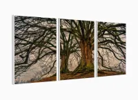 Conjunto Quadros 3 Peças Árvore Raiz decorativo Sala Quarto com moldura filete - Foto 4