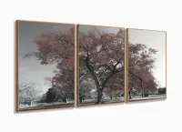 Quadro Decorativo 120x60 Sala Quarto Árvore Marrom com moldura filete