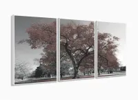 Quadro Decorativo 120x60 Sala Quarto Árvore Marrom com moldura filete - Foto 4