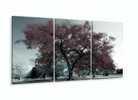 Quadro Decorativo 120x60 Sala Quarto Árvore Marrom com moldura filete - Foto 5