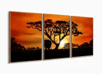 Quadro Decorativo Africa Paisagens Natureza 3 peças com moldura filete