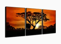 Quadro Decorativo Africa Paisagens Natureza 3 peças com moldura filete - Foto 3