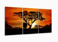 Quadro Decorativo Africa Paisagens Natureza 3 peças com moldura filete - Foto 5