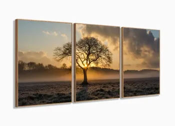 Quadro Decorativo Árvore Seca 3 Partes 120x60 Em Tecido com moldura filete