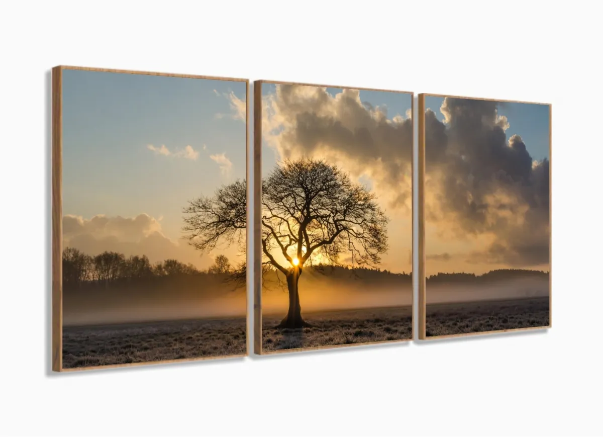 Quadro Decorativo Árvore Seca Raio De Luz 120x60 3 peças com moldura filete Imagem