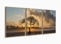 Quadro Decorativo Árvore Seca Raio De Luz 120x60 3 peças com moldura filete