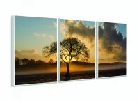 Quadro Decorativo Árvore Seca Raio De Luz 120x60 3 peças com moldura filete - Foto 4