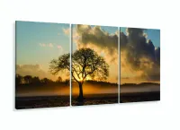 Quadro Decorativo Árvore Seca Raio De Luz 120x60 3 peças com moldura filete - Foto 5