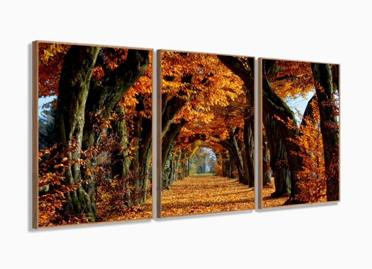 Quadro Decorativo Árvores de Outono  3 Peças 120x60 em tecido com moldura filete Imagem