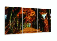 Quadro Decorativo Árvores de Outono  3 Peças 120x60 em tecido com moldura filete - Foto 5