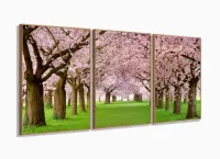 Quadro Decorativo Caminho De Cerejeiras 120x60 Sala Quarto com moldura filete