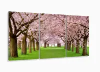 Quadro Decorativo Caminho De Cerejeiras 120x60 Sala Quarto com moldura filete - Foto 5
