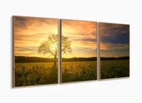 Quadro Decorativo Campo Natureza Árvore Nascer do Sol 3 Peças 120x60 em tecido com moldura filete
