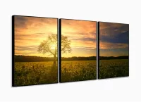 Quadro Decorativo Campo Natureza Árvore Nascer do Sol 3 Peças 120x60 em tecido com moldura filete - Foto 3