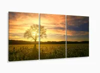Quadro Decorativo Campo Natureza Árvore Nascer do Sol 3 Peças 120x60 em tecido com moldura filete - Foto 5