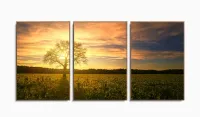 Quadro Decorativo Campo Natureza Árvore Nascer do Sol 3 Peças 120x60 em tecido com moldura filete - Foto 6