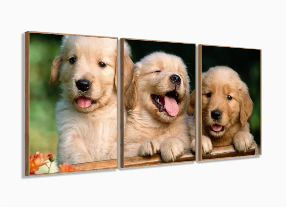 Quadro Decorativo Filhotes Cachorro 120x60 3 peças com moldura filete Imagem