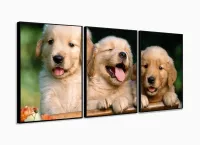 Quadro Decorativo Filhotes Cachorro 120x60 3 peças com moldura filete - Foto 3