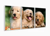 Quadro Decorativo Filhotes Cachorro 120x60 3 peças com moldura filete - Foto 4