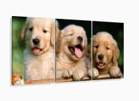 Quadro Decorativo Filhotes Cachorro 120x60 3 peças com moldura filete - Foto 5