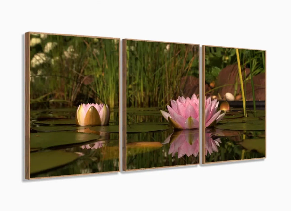 Quadro Decorativo Flores Paisagens Natureza 120x60 com moldura filete Imagem