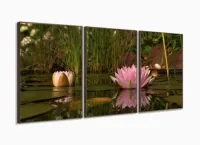 Quadro Decorativo Flores Paisagens Natureza 120x60 com moldura filete - Foto 2
