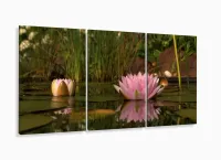 Quadro Decorativo Flores Paisagens Natureza 120x60 com moldura filete - Foto 5
