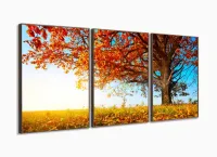Quadro Decorativo Outono Árvore Céu Azul 120x60 Sala Quarto com moldura filete - Foto 2