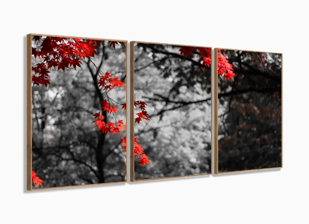 Quadro Decorativo Outono Paisagem 3 pçs 120x60 com moldura filete Imagem