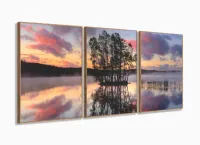 Quadro Decorativo Paisagem Árvore Lago Entardecer com moldura filete