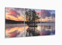 Quadro Decorativo Paisagem Árvore Lago Entardecer com moldura filete - Foto 5